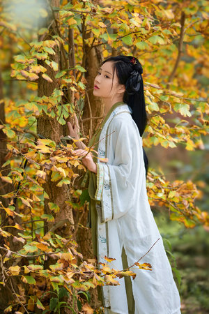 黄色网址视频在线播放