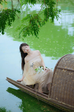 杨门女将天波府风波