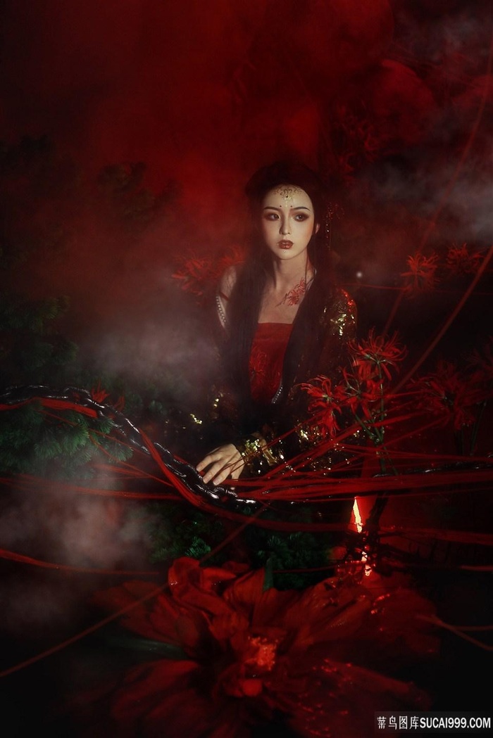 欧美一区二区视频高清专区